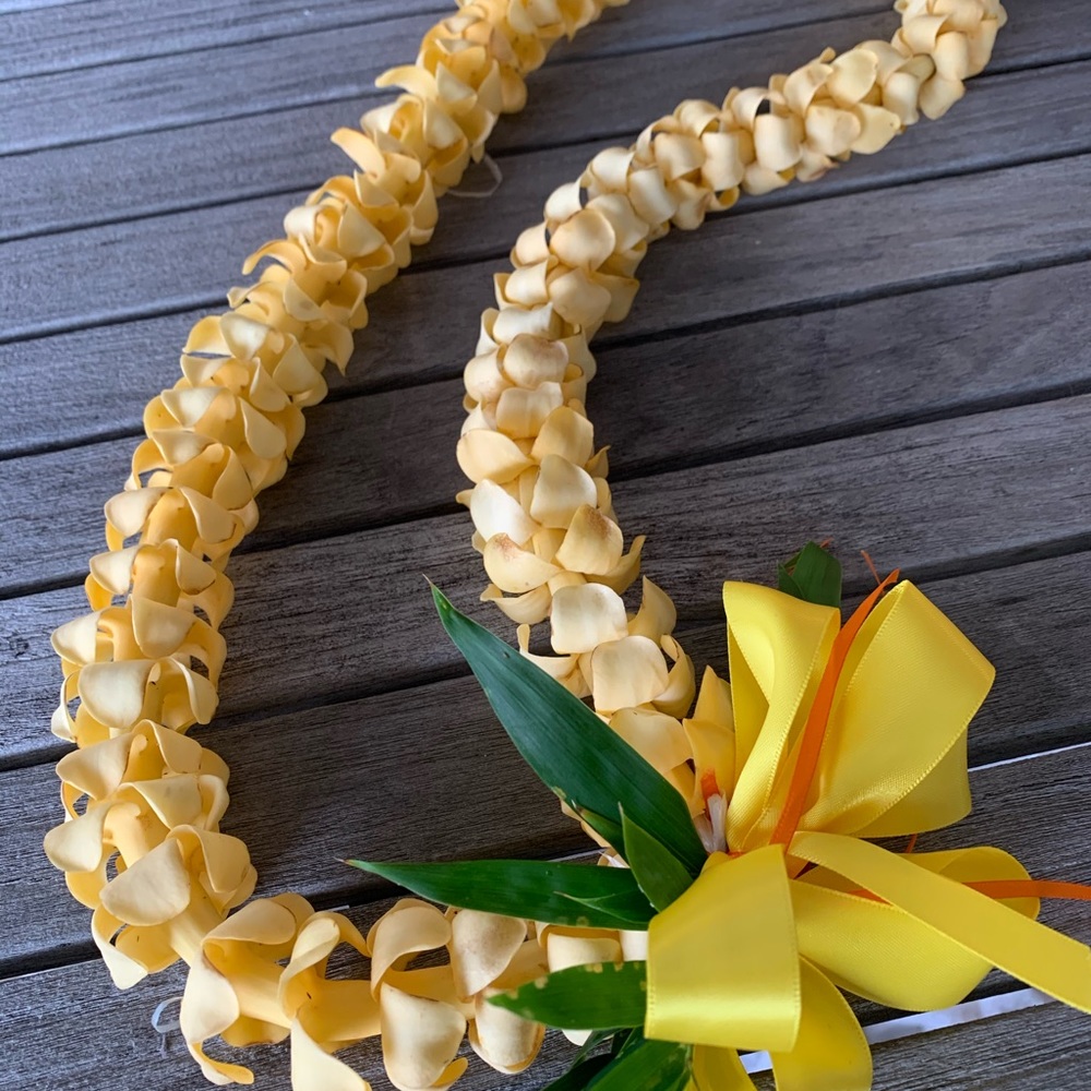 Meet your Posher, Yvonne